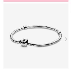 Pandora charm bracelet